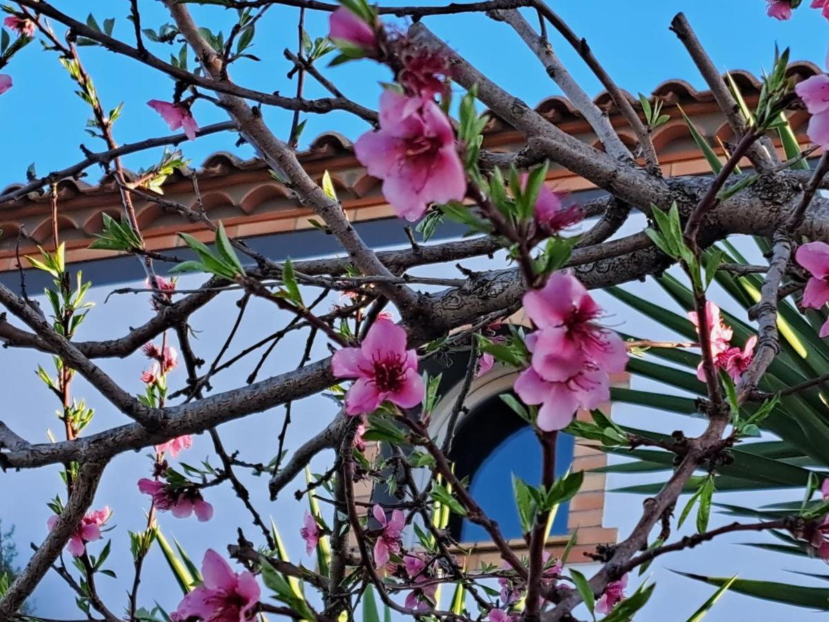 Maison Les Agapanthes Villeneuve-les-Beziers Bagian luar foto